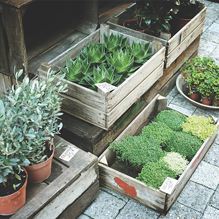 Easy potting !
